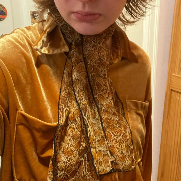 Meet your Posher, Jonesie - Picture 1 of 1
